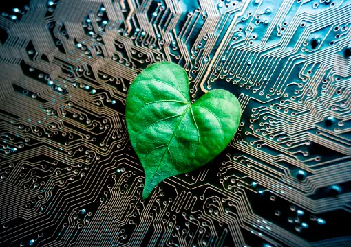 澳门皇家赌场官方平台案例